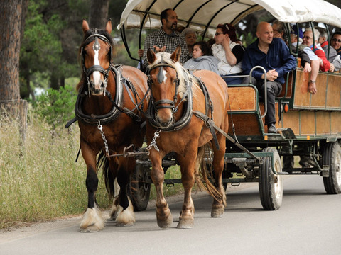 Pasqua per single in Maremma