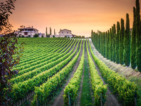 Pasqua per single in Villa Umbra