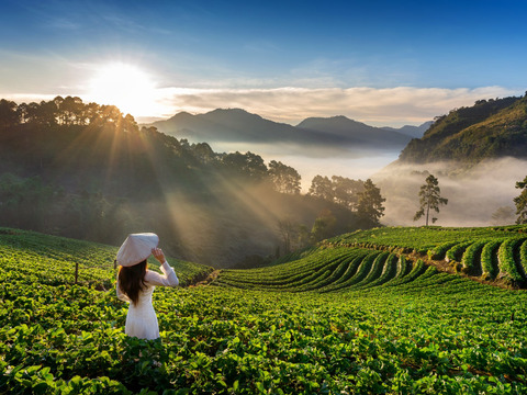 Vietnam