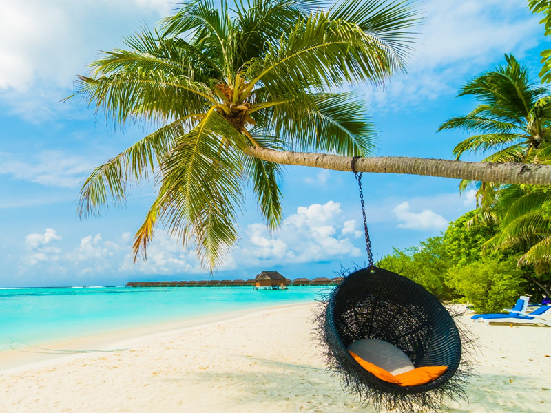 Maldive Mobile Cover